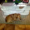 Despres william - @despres.william - TikTok