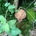 William Despres - Facebook