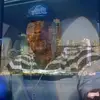 williamdeveaux80 - @williamdeveaux80 - TikTok