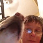 William Devito - @william_the_nerd - Instagram