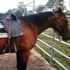 William Devlin - @williamdevlin1 - TikTok
