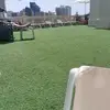 williamdevos592 - @williamdevos592 - TikTok
