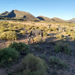 William De Vries - @williamdv69 - Instagram