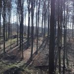 William De Wilde - @dewildewilliam - Instagram