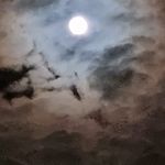 De Wilde William - @williamdewilde09 - Instagram