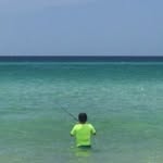 William_DEWITT - @william_dewitt1 - Instagram