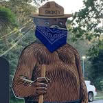 William Dewitt - @willardthewhisp - Instagram