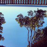 William Dewitt - @moonleadav - Instagram