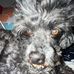 William Dewitt - Facebook