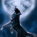 Bill Dewolfe - Facebook