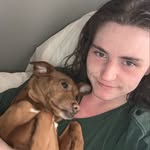 William - @william_dewolfe - Instagram