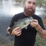 william alan deyo - @williamalandeyo - Instagram