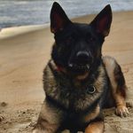 William DeYoung - @william.deyoung.92 - Instagram