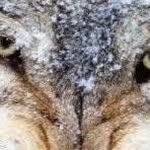 William Deza - @william.deza.6 - Instagram