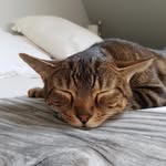 William Dezandre 🥳 - @williamdezandre - Instagram
