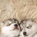 Dial Williams - Facebook