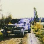 William Dial - @willswillys.jku - Instagram