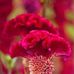 William Diamond - Facebook