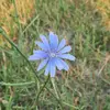 williamdibble295 - @williamdibble295 - TikTok