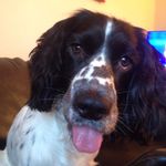 William Dick - @williamdick1968 - Instagram