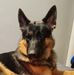 William Dickens - Facebook