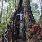 William Dickerson - @w.dickerson - Instagram