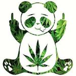 William Dickman - @lilbooo225 - Instagram
