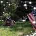 William DiDonato - Facebook