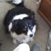 William Diringer - Facebook