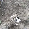 William Dilbeck - @william.dilbeck - TikTok