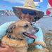 William Demler - Facebook