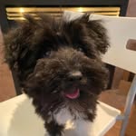 William Ding - @williamding678 - Instagram