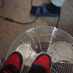 Will Dingman - @dingman.william - Instagram