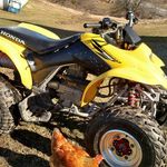 william dingman - @wooly_will - Instagram