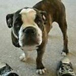 @williamdirks83 - Instagram