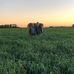 Will Dobbin - Facebook