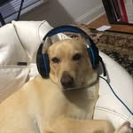 William - @doerfler121 - Instagram