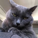 William Doerler - @williamdoerler - Instagram