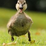 William Dolan - @willbert1100 - Instagram