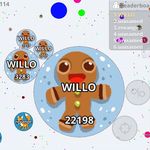 William - @william_dolphins - Instagram