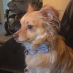 William Doolittle - Facebook
