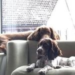 William Dore - @williamdore52 - Instagram