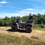 William Doucette - @doucette.william - Instagram