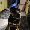 William Downs - @williamdowns0 - TikTok