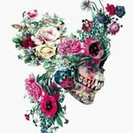 William Drawdy - @absolute100will1 - Instagram