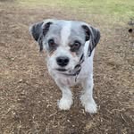 William Drescher - @wmdrescher - Instagram