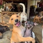 William Drey Drey - @064.6 - Instagram