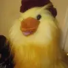 William d Ring - @duckduckyduckman - TikTok