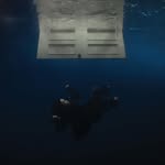 William Drumm | Underwater Photography | 🦈 - @williamdrumm - Instagram
