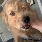 William Dubberley - @williamdubberley - Instagram